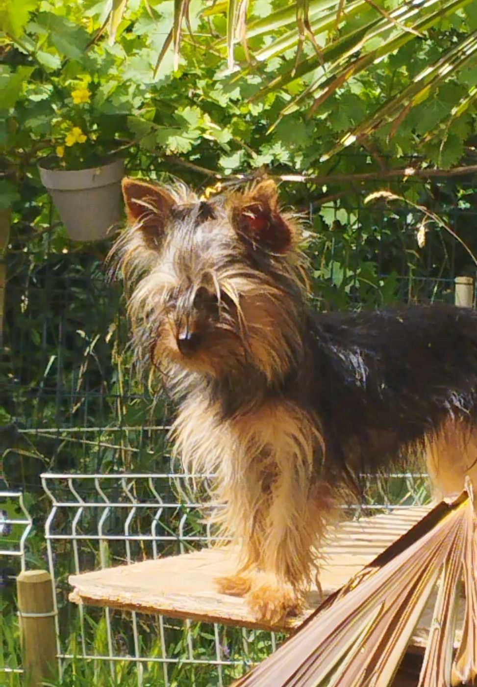 Tik tok (Sans Affixe)