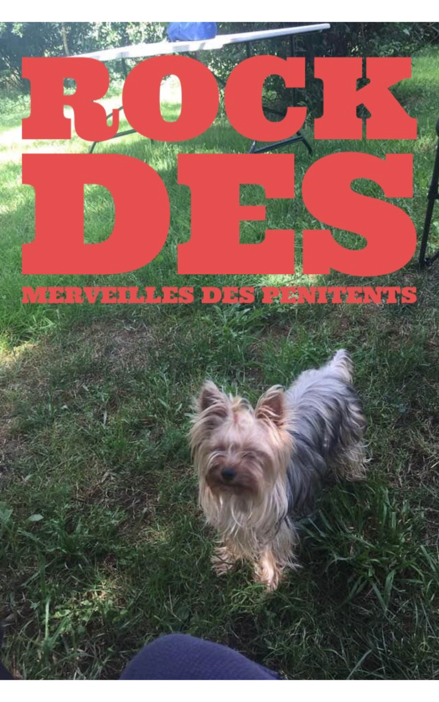Bientôt des bébés yorkshires